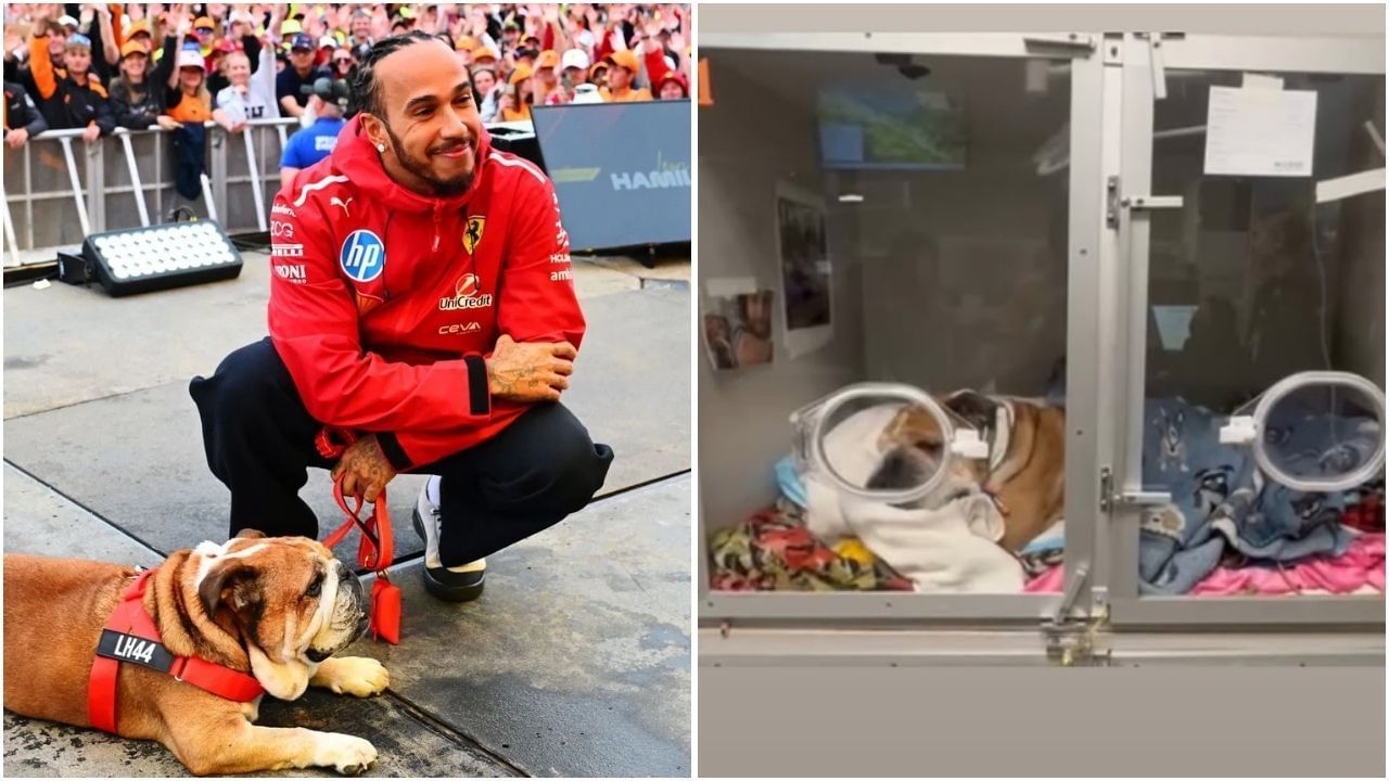 Lewis Hamilton shares a concerning about his pet Roscoe