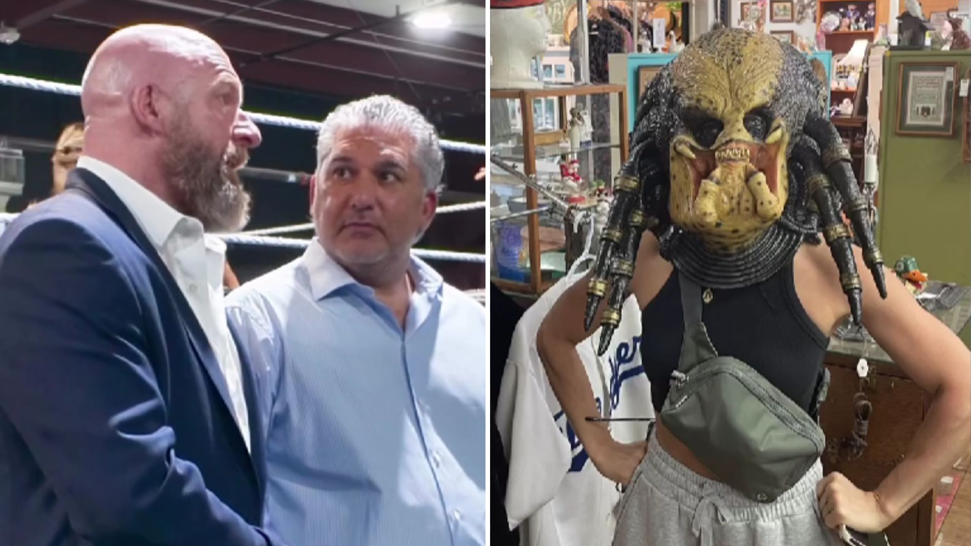 Triple H is the Chief Content Officer of WWE [Image credits: stars