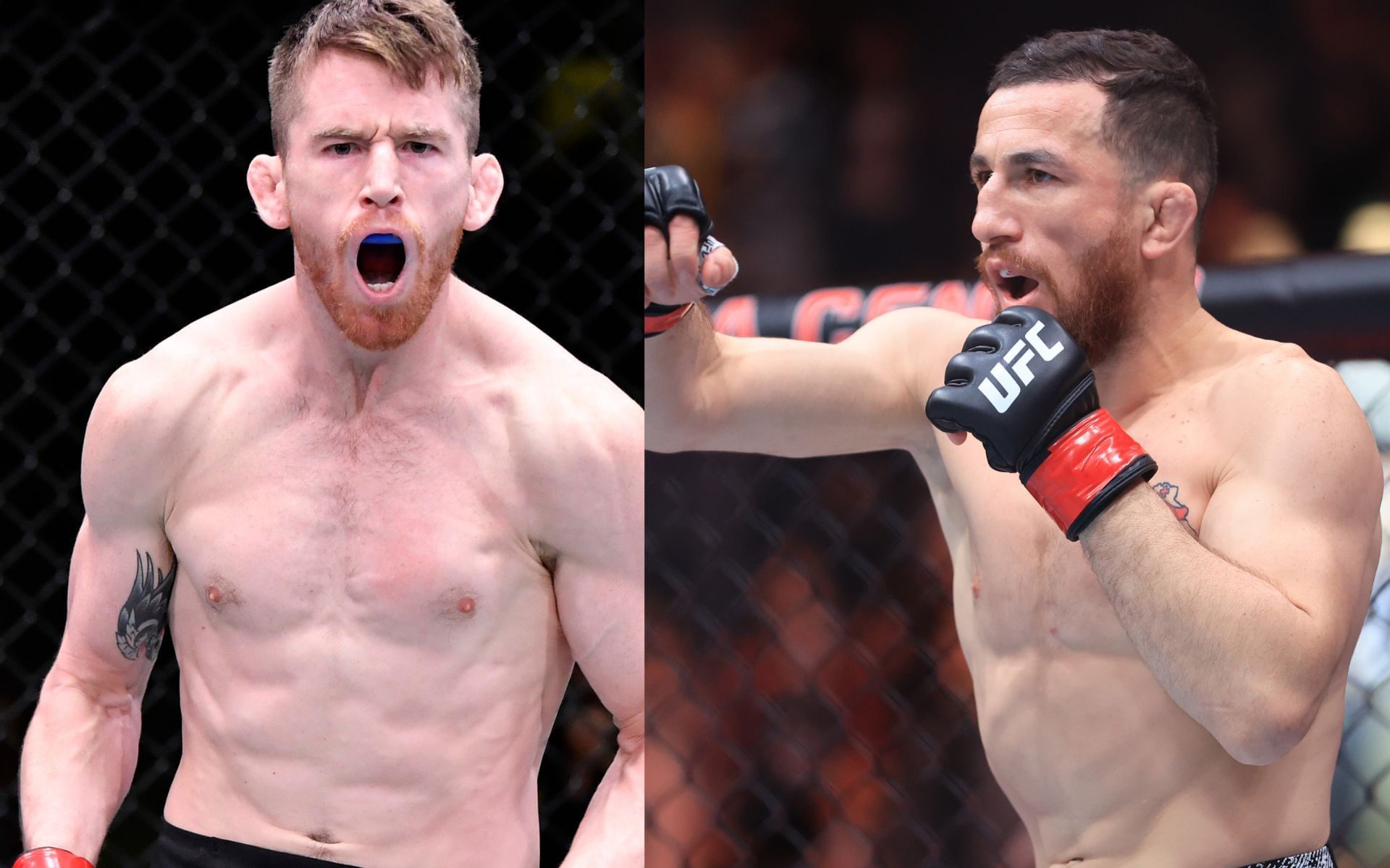 Cory Sandhagen (left) takes on Merab Dvalishvili (right) at UFC 320. [Images courtesy: Getty]