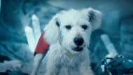Krypto the super dog (Image via YouTube/DC)