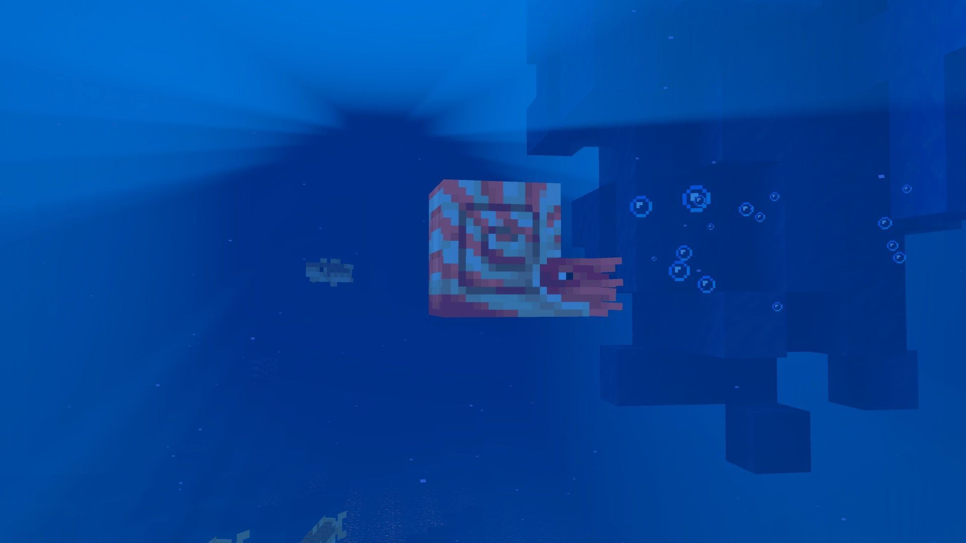 Nautilus is a brand-new underwater mob that can be ridden (Image via Mojang Studios)