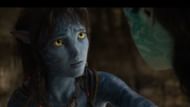 A still from the movie (Image via youtube/@Avatar)