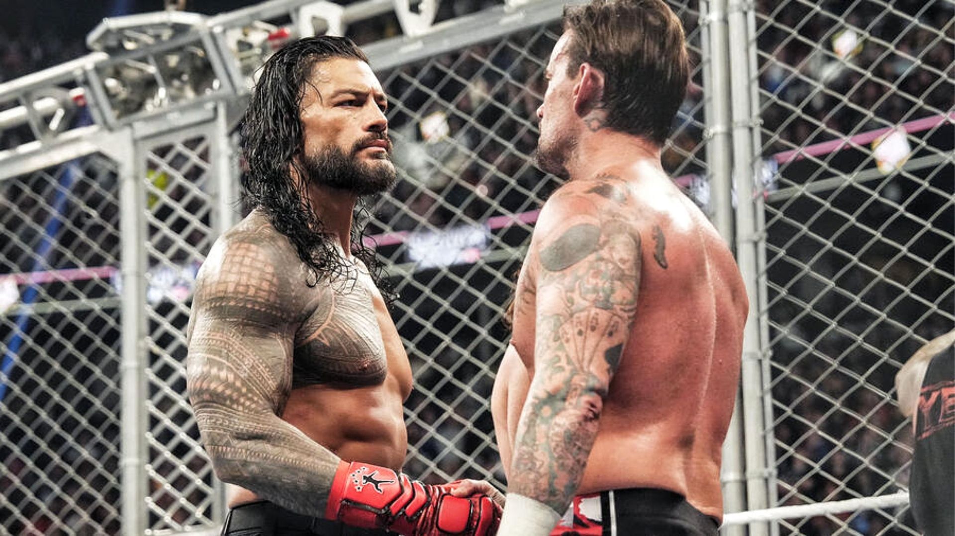 Roman Reigns, CM Punk