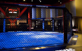 Just days ahead of UFC Paris, star withdraws from event after family member's death