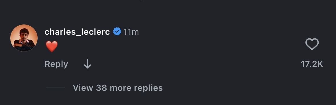Screen grab of Leclerc&#039;s comment under Hamilton&#039;s post [via Instagram/@lewishamilton]