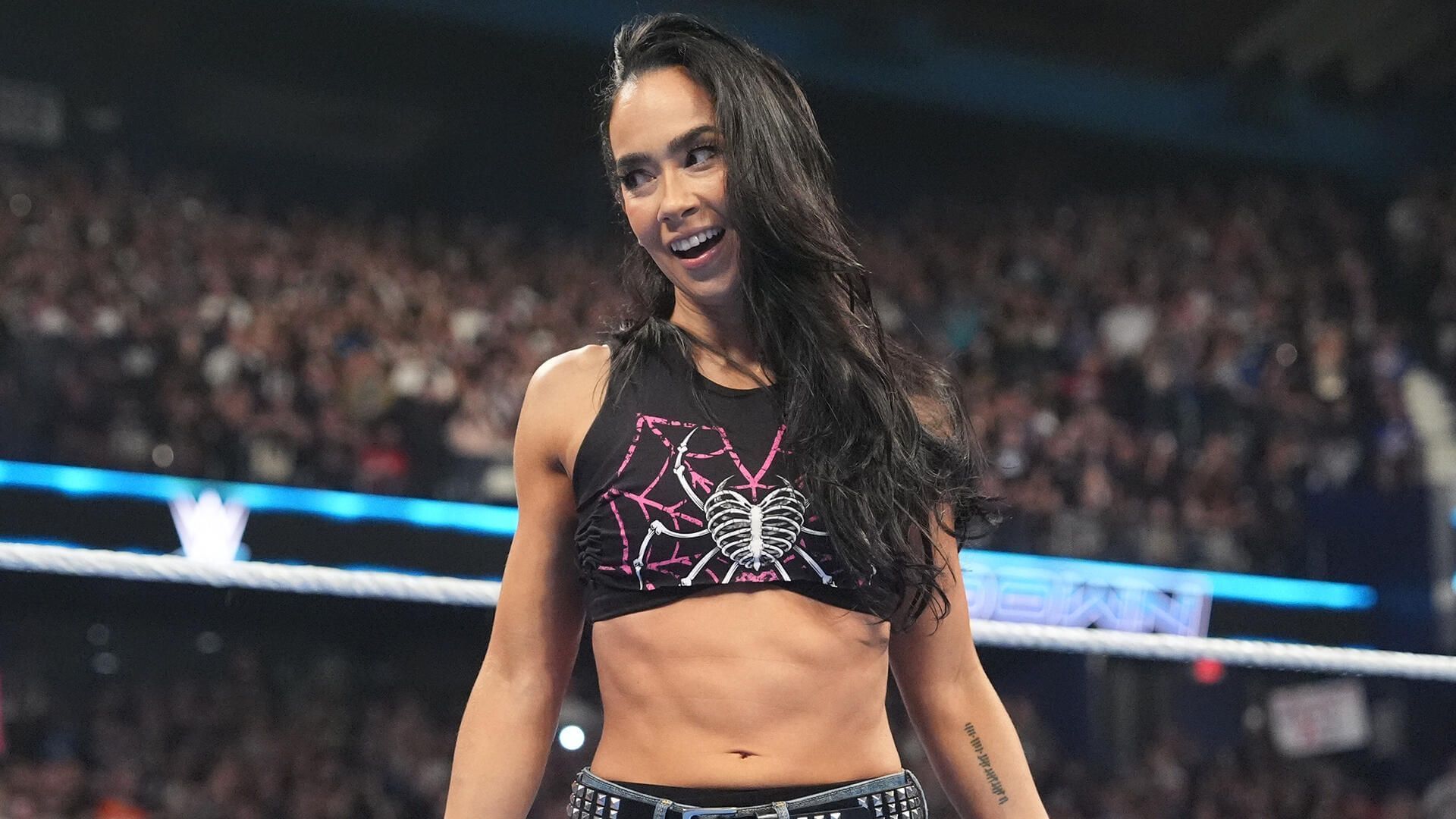 AJ Lee returned to WWE after a ten-year hiatus [Image: WWE.com]