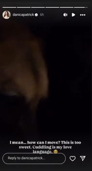 Danica Patrick's story with her pet l Instagram/@danicapatrick