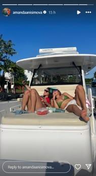 Screenshot of Anisimova's Instagram story.