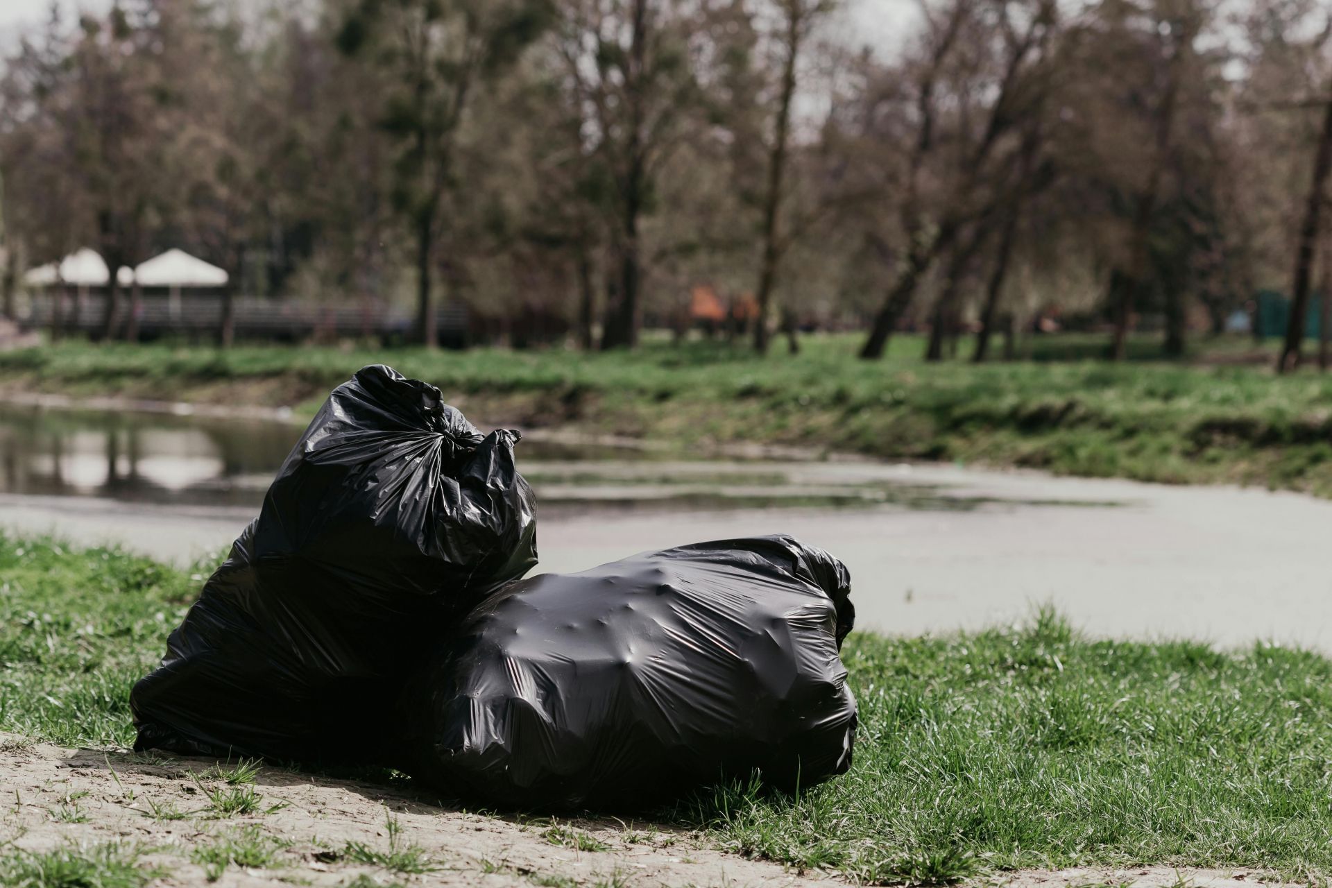 Bags with remains were recovered along roads in St. Clair County (Image via Pexels)