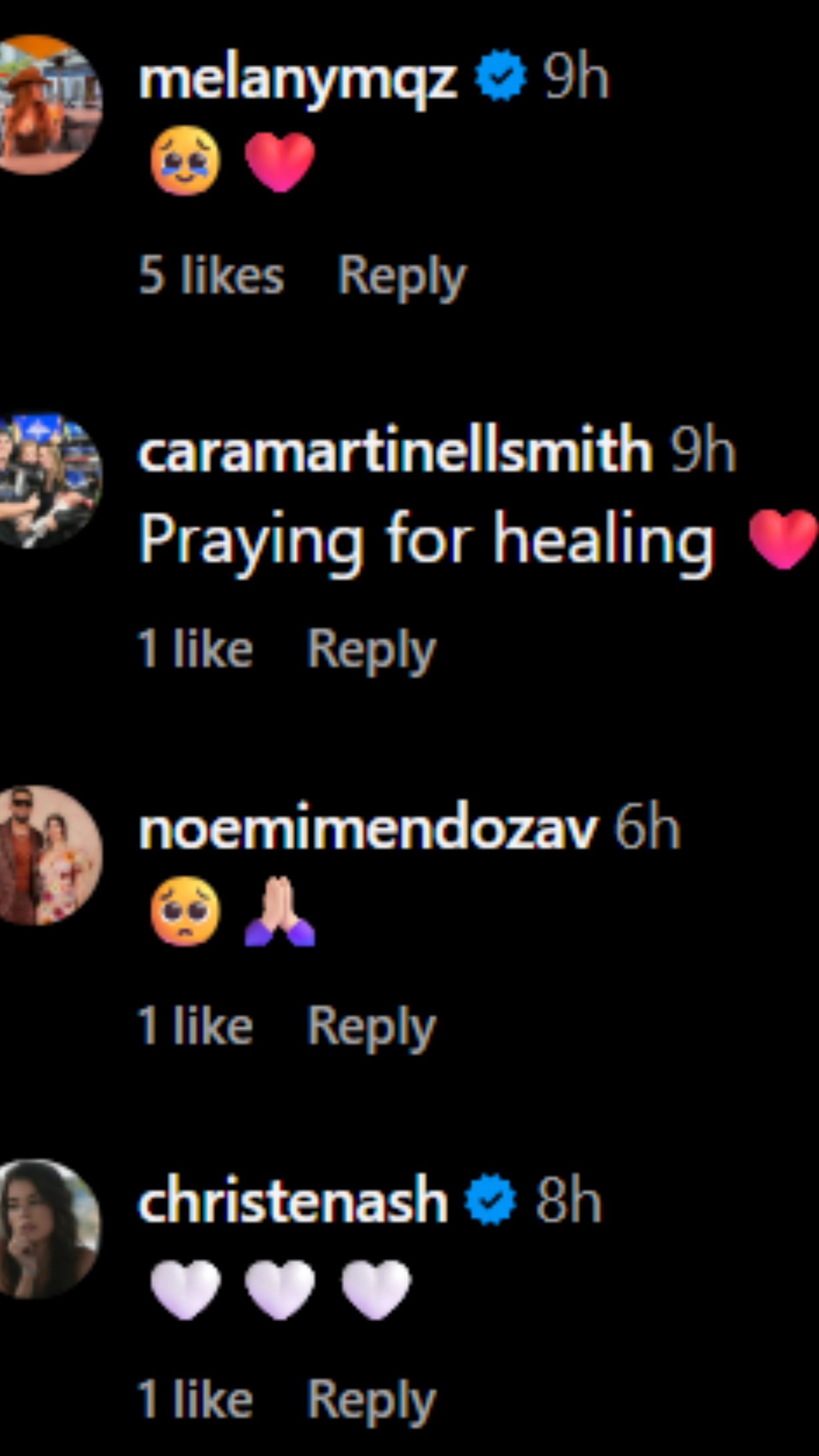 Screenshot of comments (Source: Instagram/thetravelingwife_)