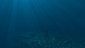 Minecraft player showcases beautiful underwater-themed texture pack