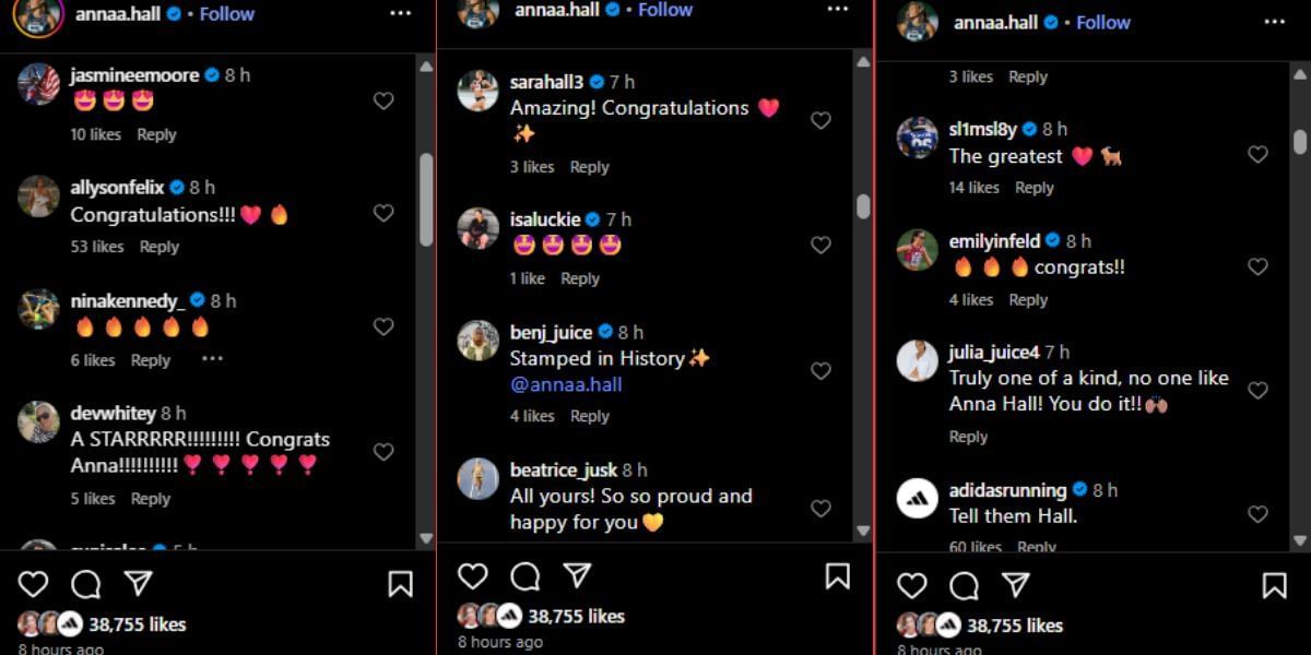 Screenshot of the Instagram post&#039;s comment section.