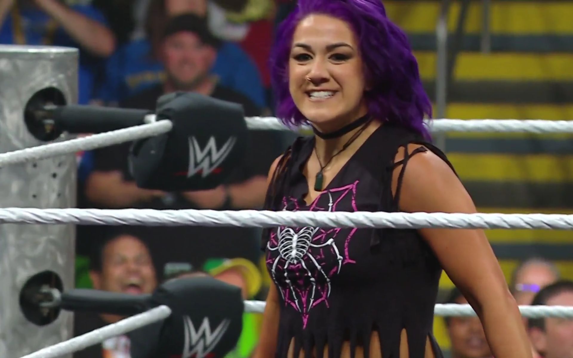 (Picture Courtesy: WWE on Netflix)