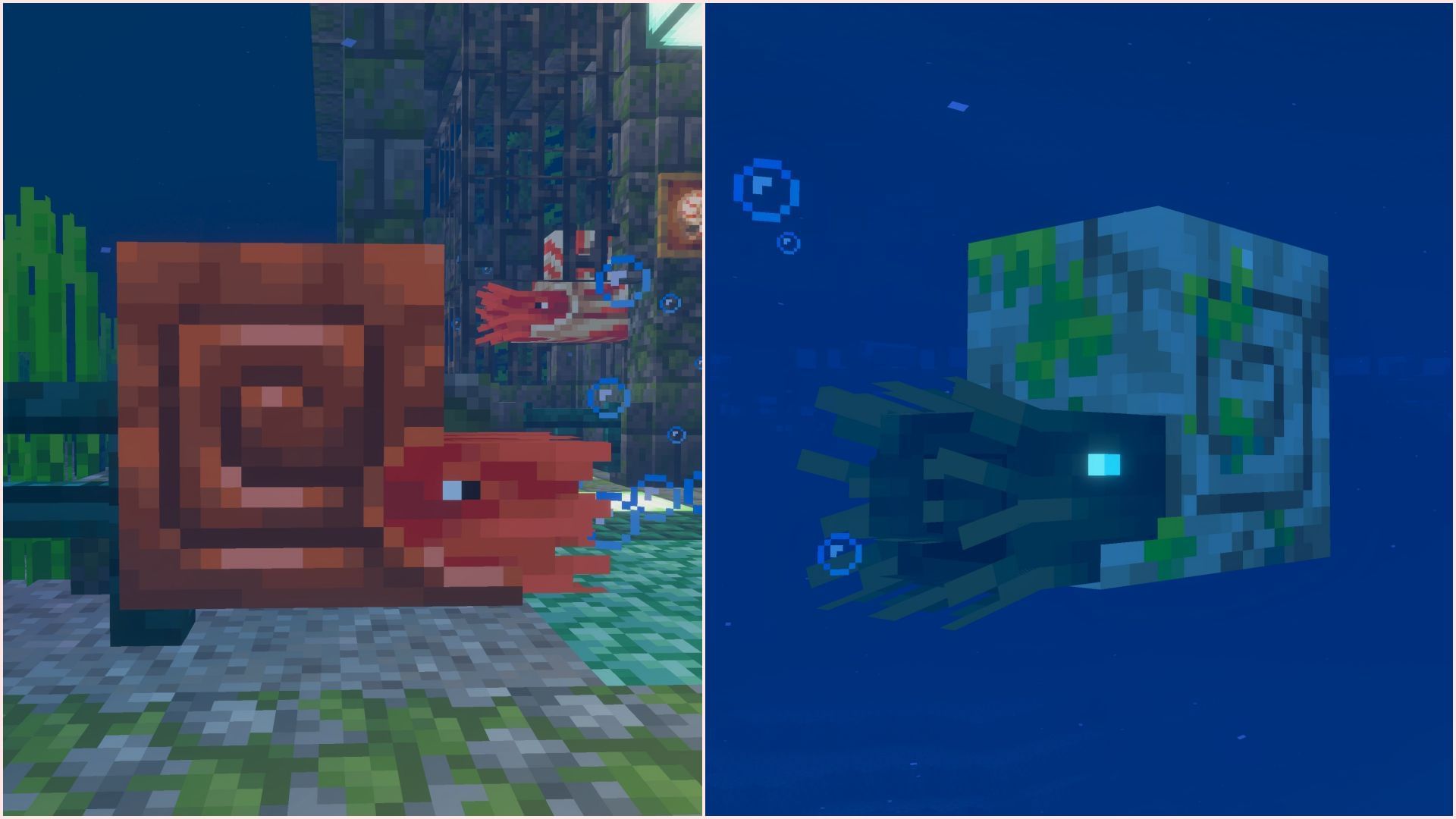 Nautilus and Zombie Nautilus (Image via Mojang Studios)