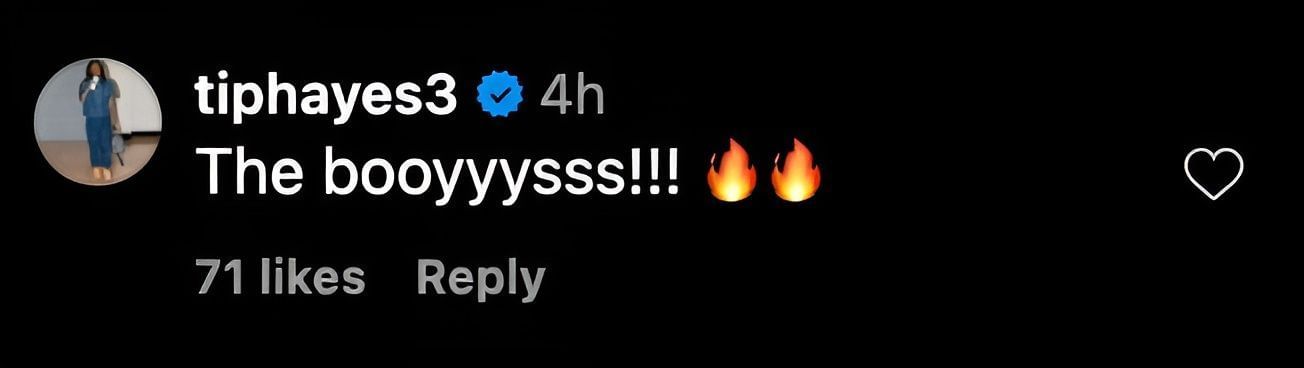 Hayes&#039; comment