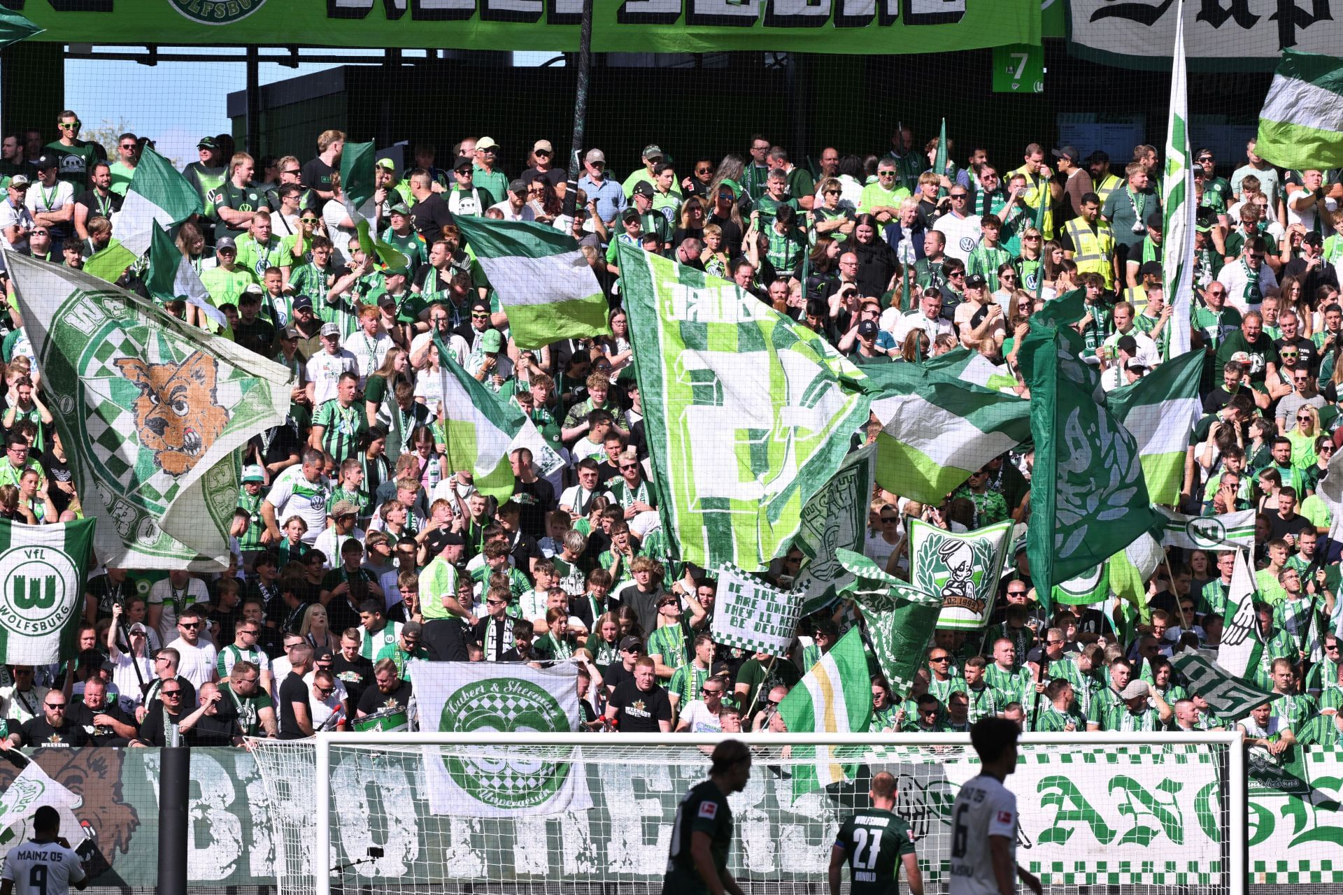 VfL Wolfsburg v 1. FSV Mainz 05 - Bundesliga - Source: Getty