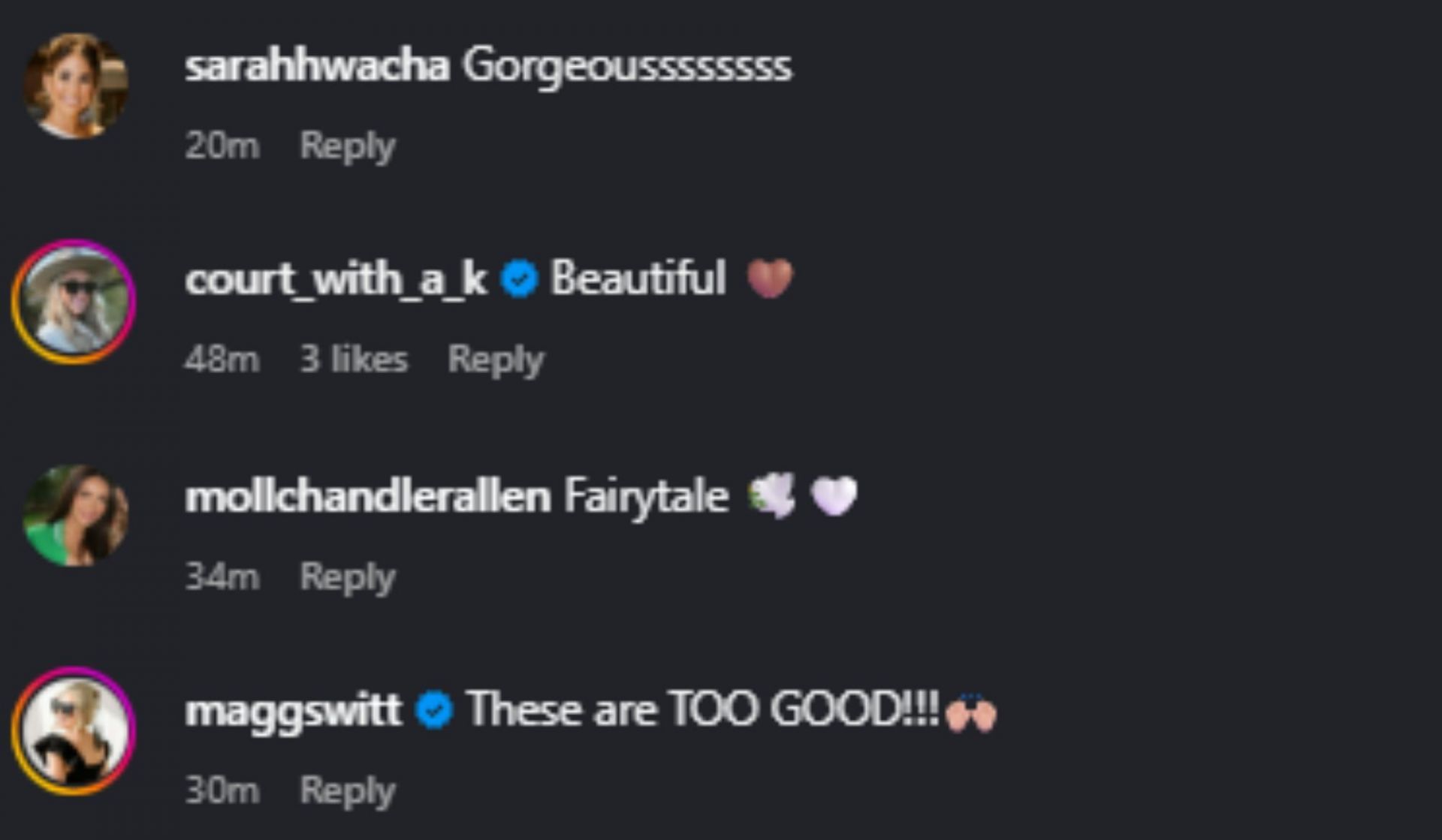 Screenshot of comments [Image Source: Instagram/madyseager]