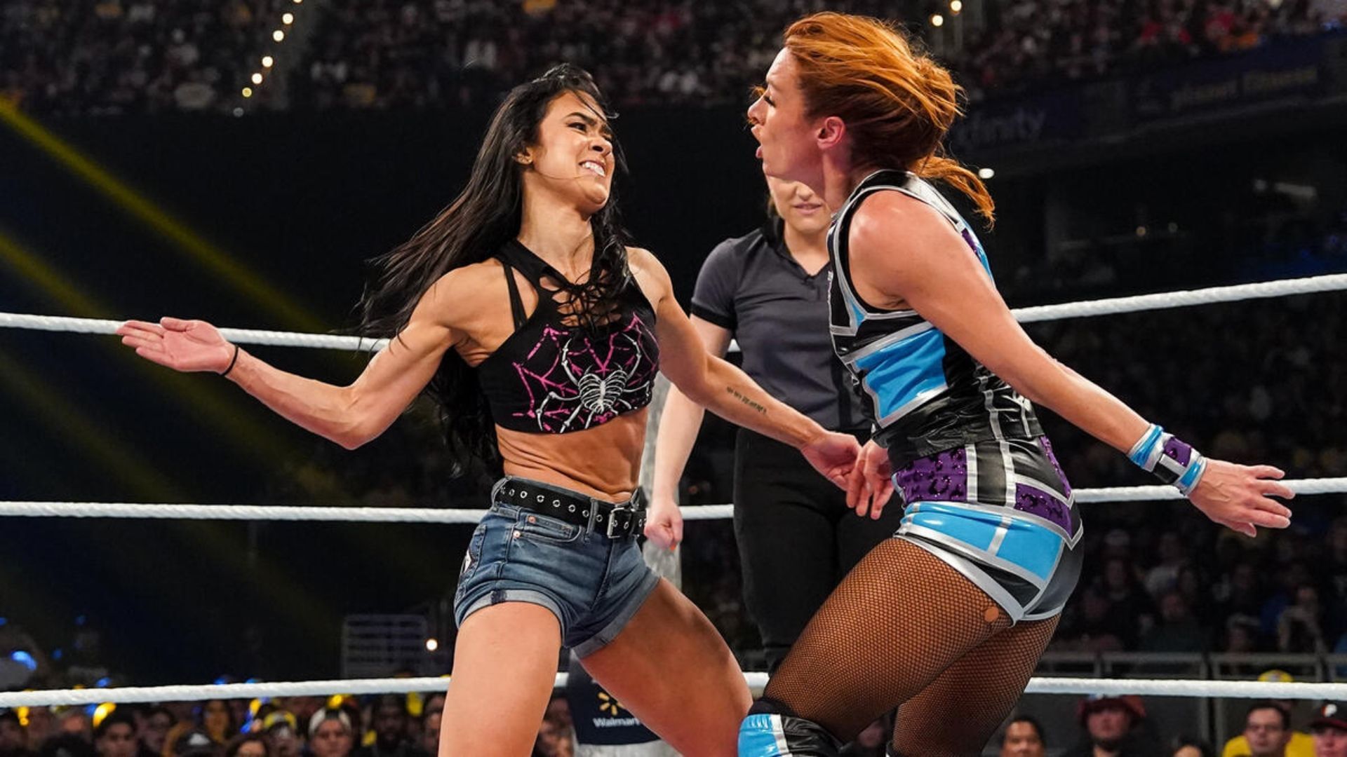 Lynch and Lee were in action at Wrestlepalooza. [Image credit: WWE.com]