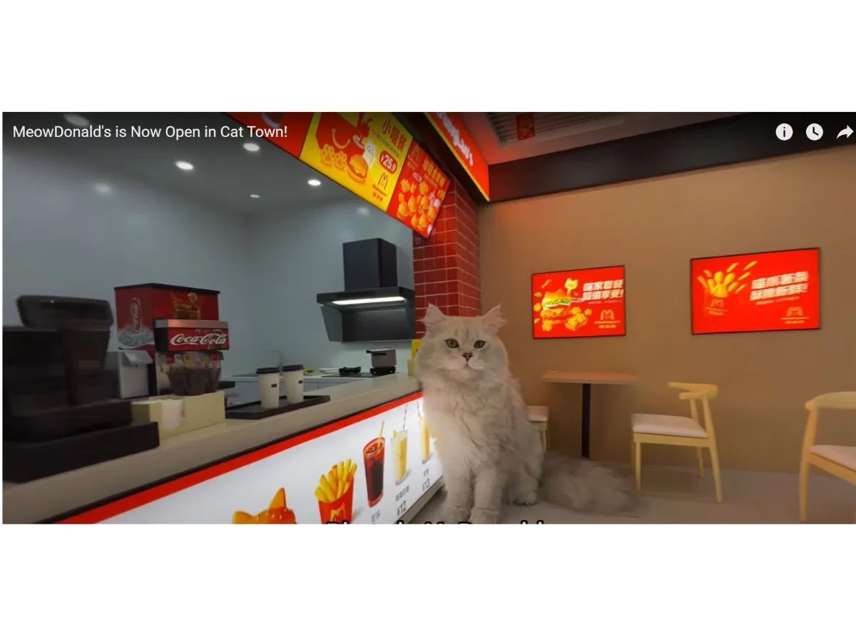 A clip from Xing&#039;s MeowDonald&#039;s video (Image via YouTube/ Xing&#039;s World)