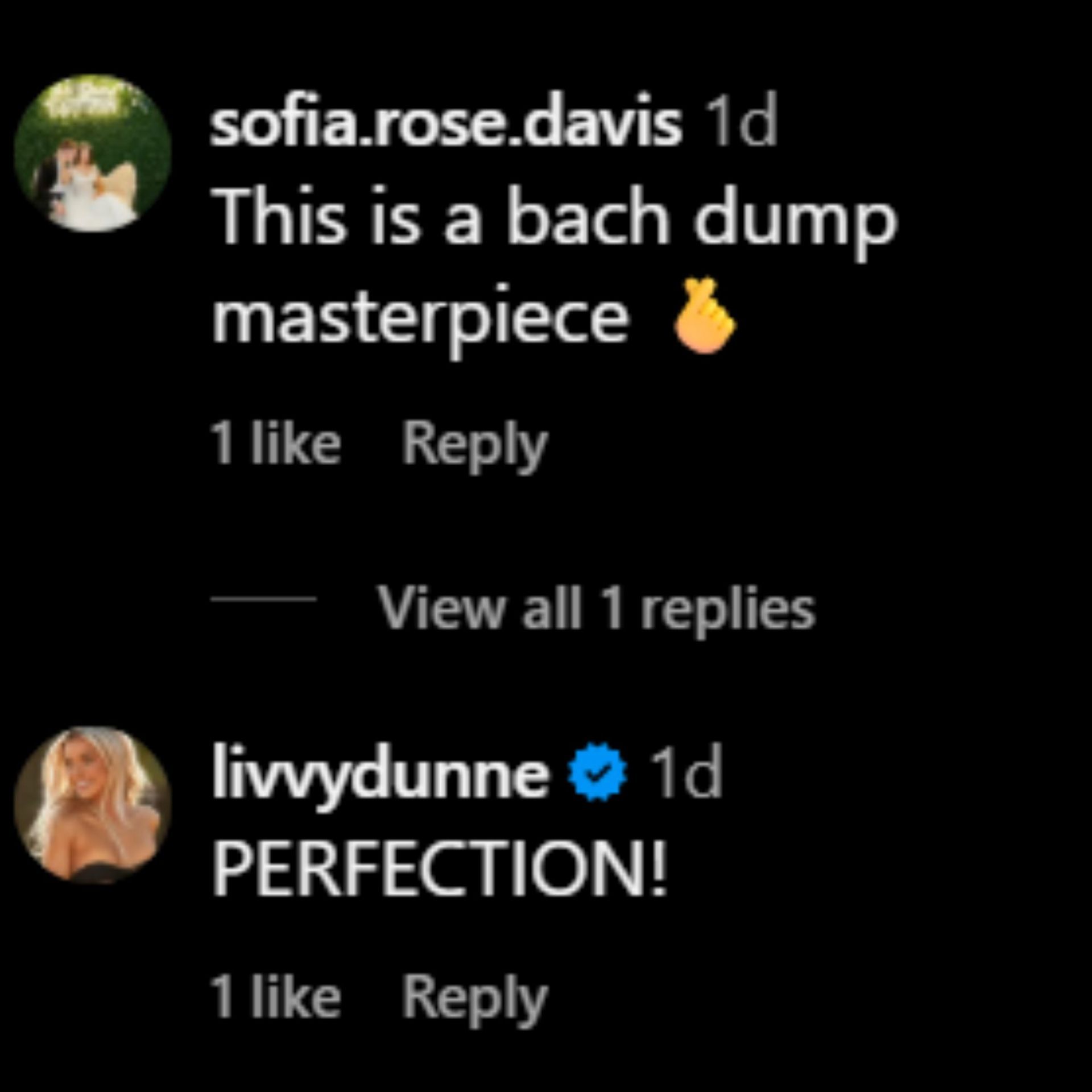 Screenshot of comments [Source: Instagram/rylienfox]