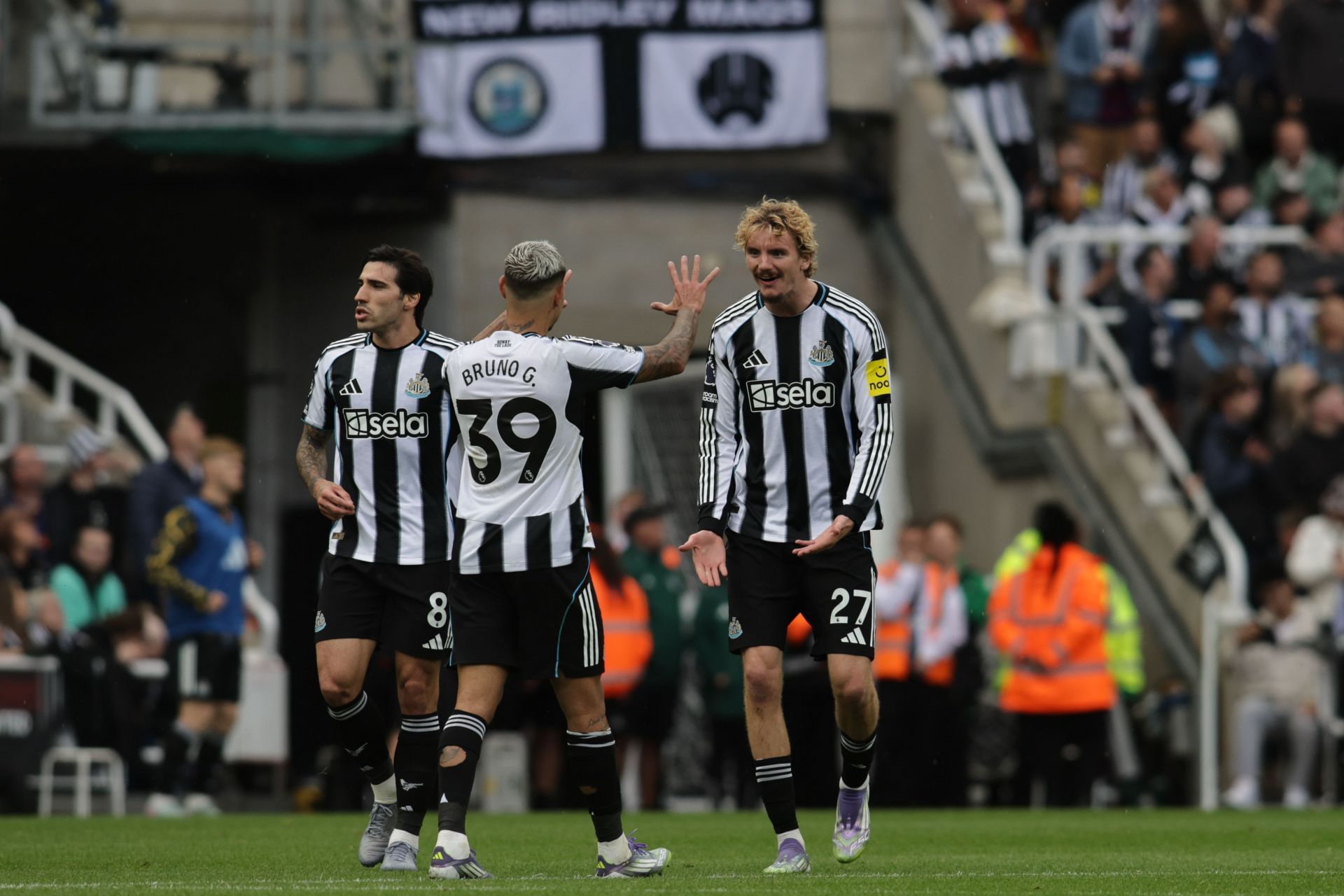 Newcastle United v Wolverhampton Wanderers - Premier League - Source: Getty
