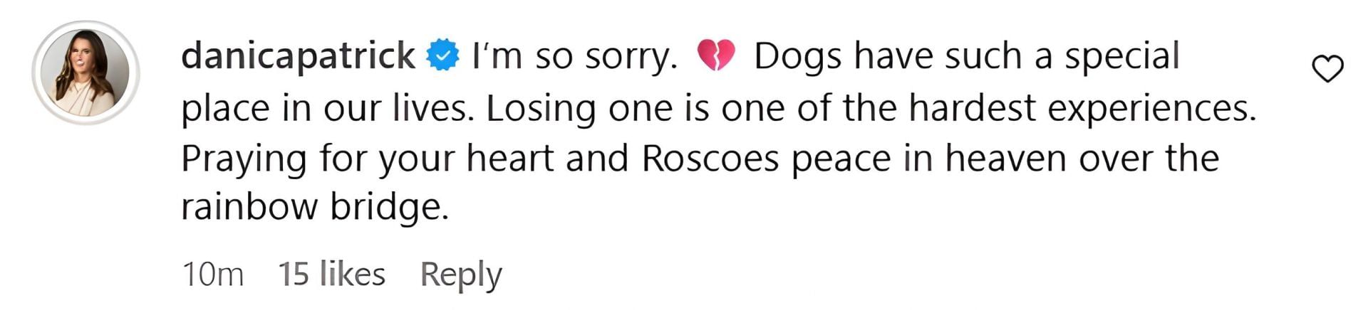 A snapshot of Danica Patrick&#039;s reaction to the death of Lewis Hamilton&#039;s pet dog Roscoe | Image via Instagram (@lewishamilton)