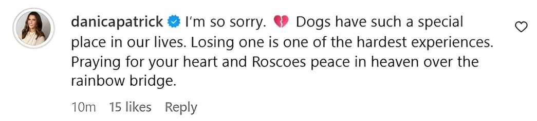 Danica Patrick sends prayers to Lewis Hamilton as his beloved pet dog Roscoe dies