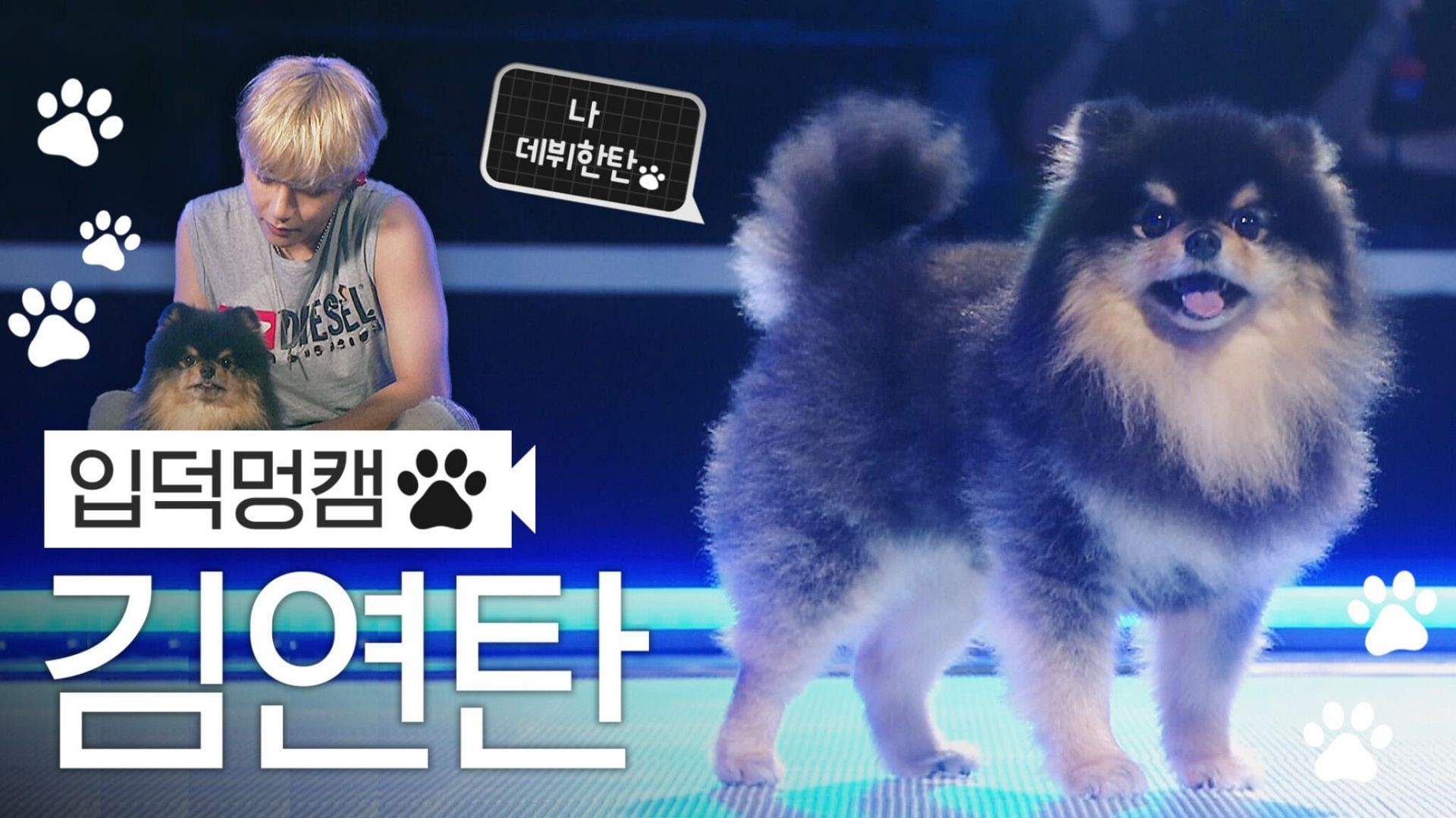 BTS&#039; Taehyung with his pet dog (Image via X/@MnetMcountdown)