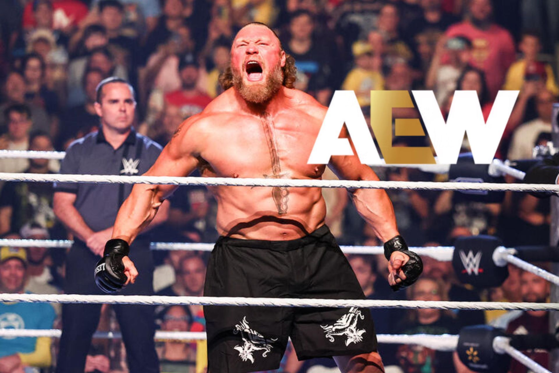 Brock Lesnar AEW