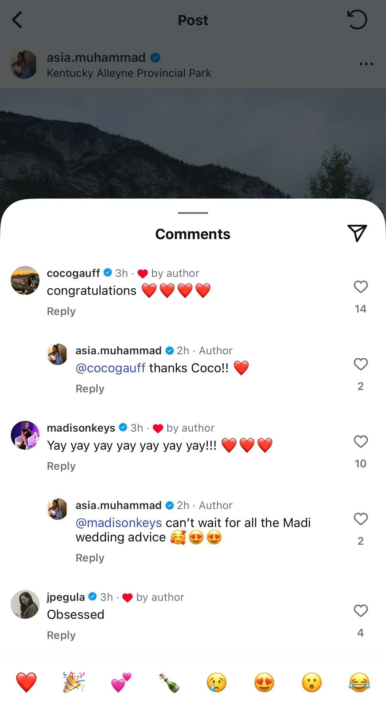 Comments section