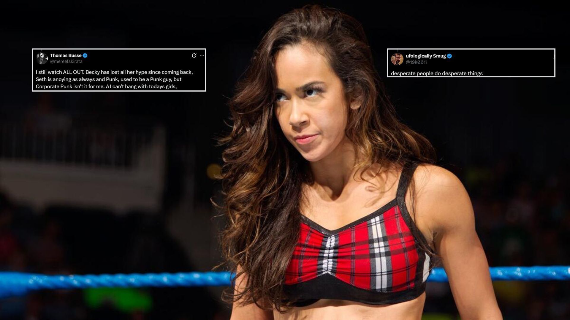 AJ Lee is a former WWE Divas Champion [Photo courtesy of WWE