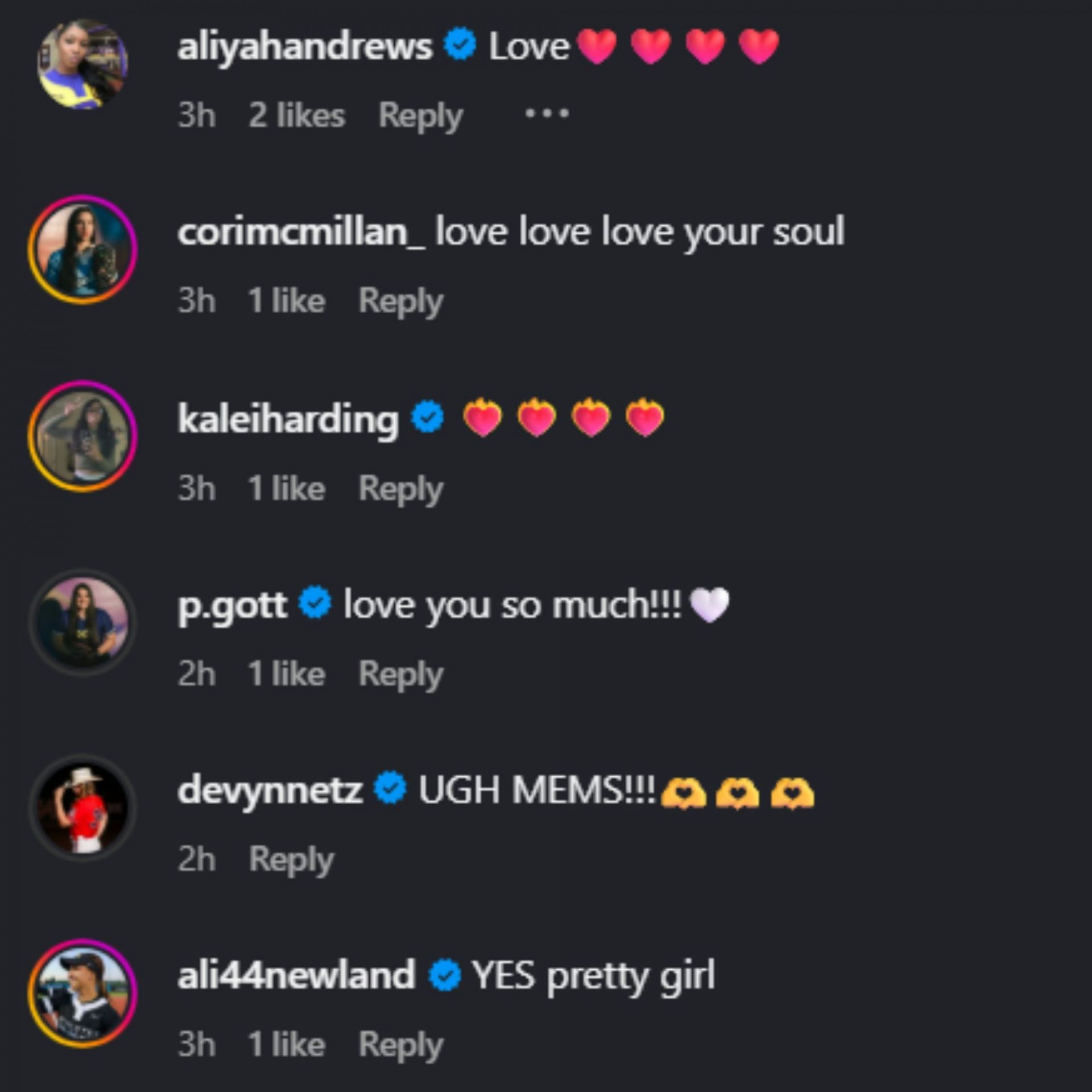 Screenshot of comments [Image Source: Instagram/Michaela Edenfield]