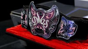 Former Divas Champion confirms retirement, but would return for WWE Royal Rumble spot