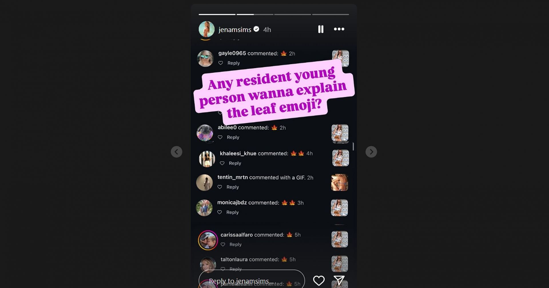 Jena Sims seeks fans&rsquo; help decoding emoji on her IG reel/@jenamsims)