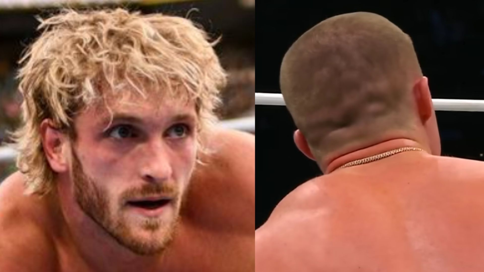 Logan Paul and a top AEW star must battle, says a veteran journalist. (Images via WWE.com and AEW YouTube) 