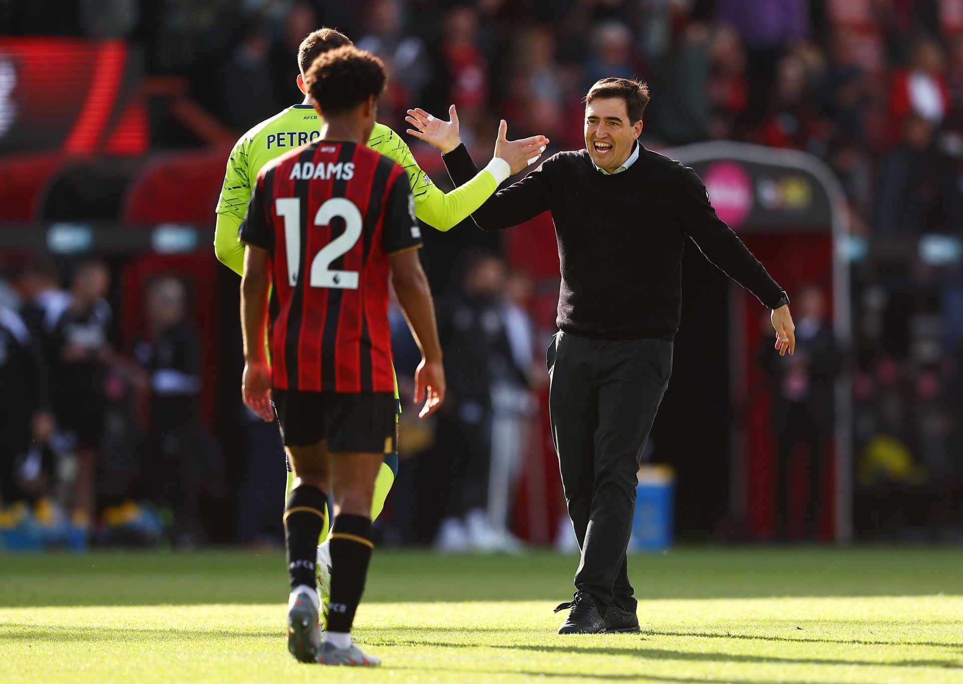 Bournemouth v Brighton &amp; Hove Albion - Premier League - Source: Getty