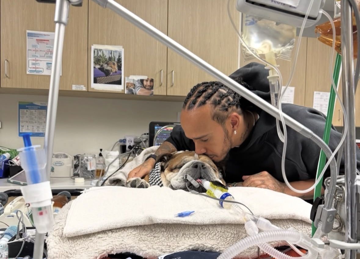 Lewis Hamilton shares heartbreaking update about Roscoe [Image via Instagram/@lewishamilton]