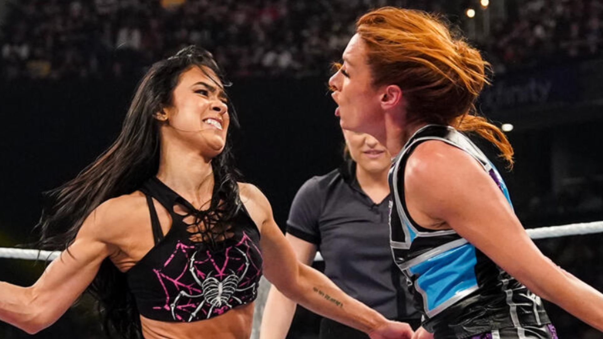 AJ Lee is a former WWE Divas Champion. (Image via WWE.com) 