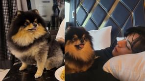 "Forever with Yeontan" trends as fans remember BTS' Taehyung's late pomeranian on his birthday