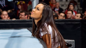 AJ Lee grunted at Becky Lynch during their first WWE meeting