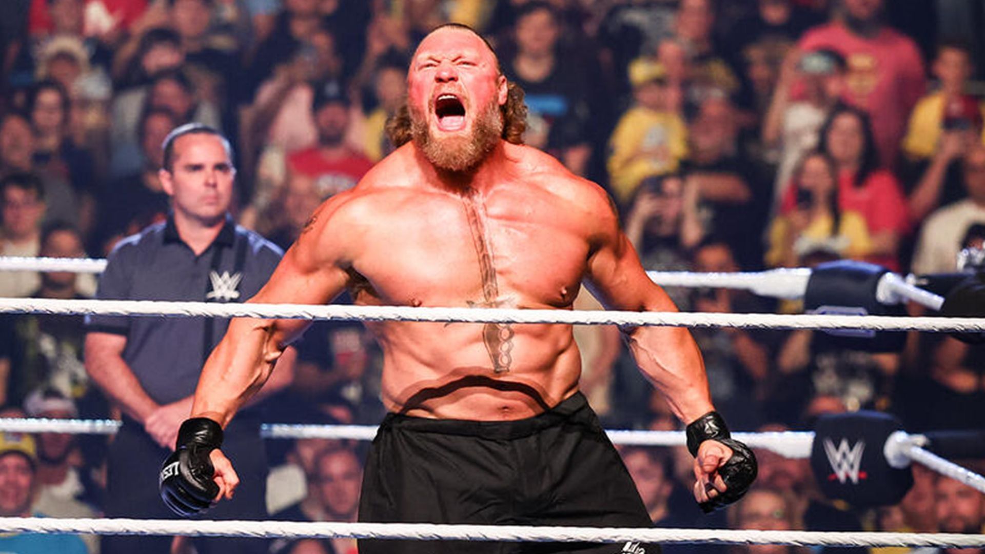 Brock Lesnar beat John Cena at Wrestlpalooza! (credit: WWE.Com)