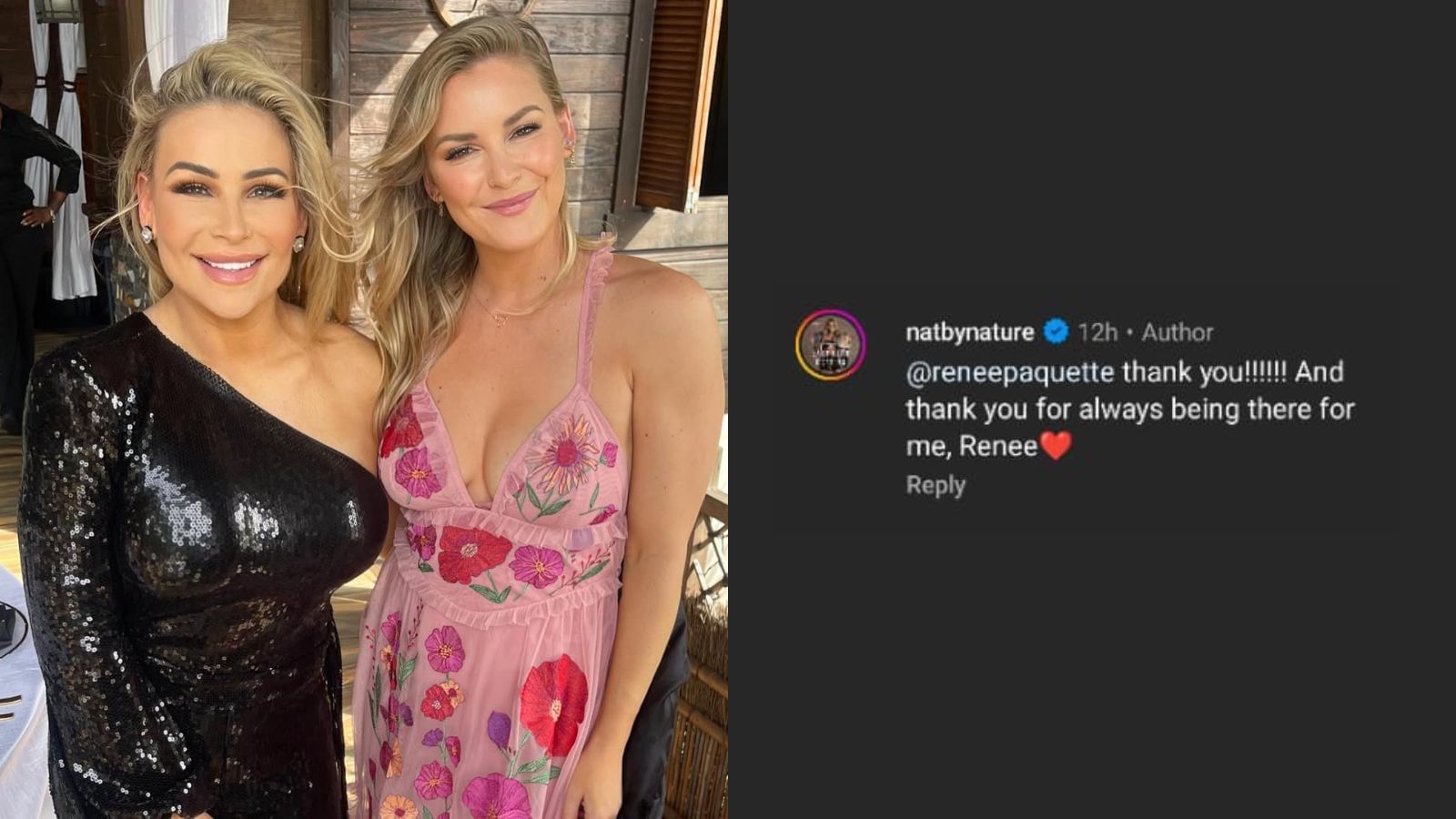 Natalya&#039;s comment [Images via The Queen of Harts&#039; Instagram]