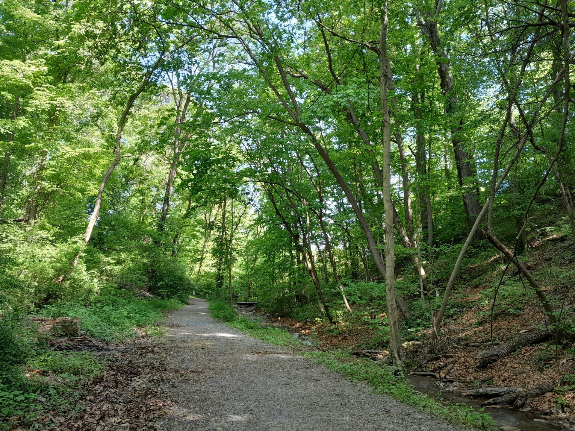 A passerby found Nicole Pietz’s body in a wooded area. (Image via Unsplash)