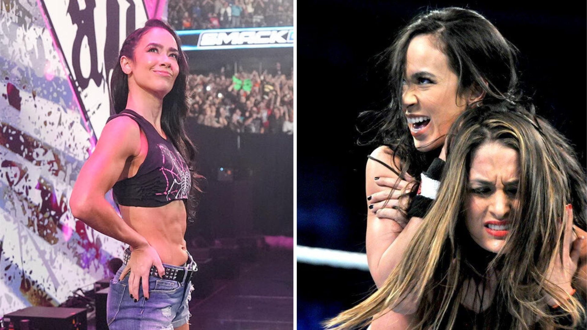 Nikki Bella and AJ Lee are former rivals [Image credits: wwe.com]