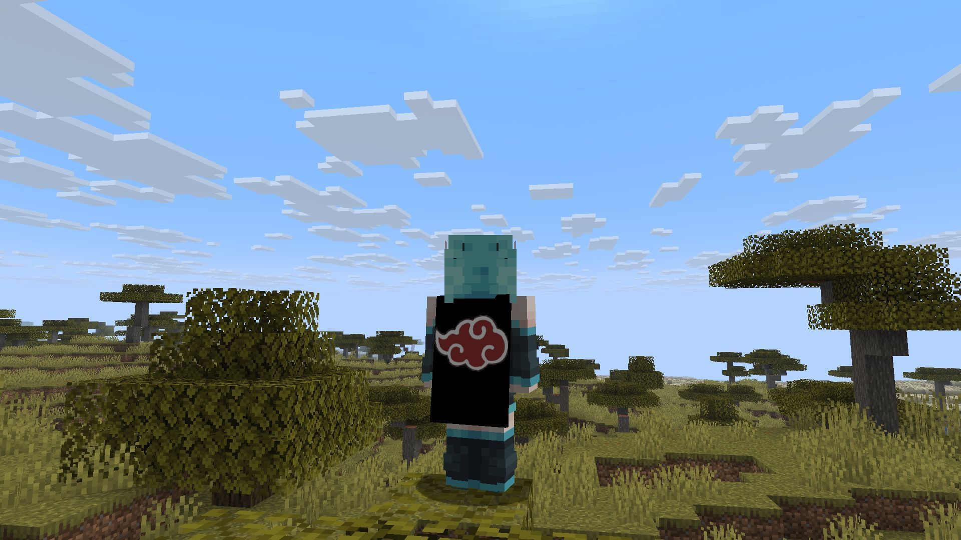 custom capes in Minecraft