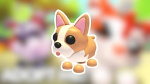 How to get French Bulldog in Adopt Me