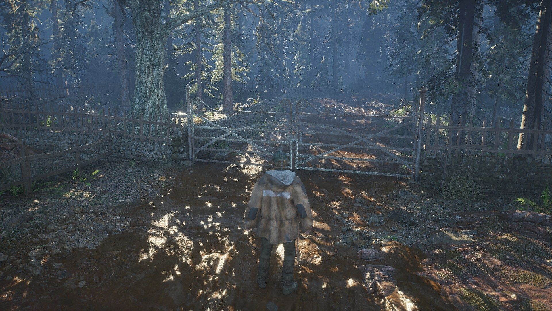 Open the door using the key presented by Ernst Cadil (image via nacon)
