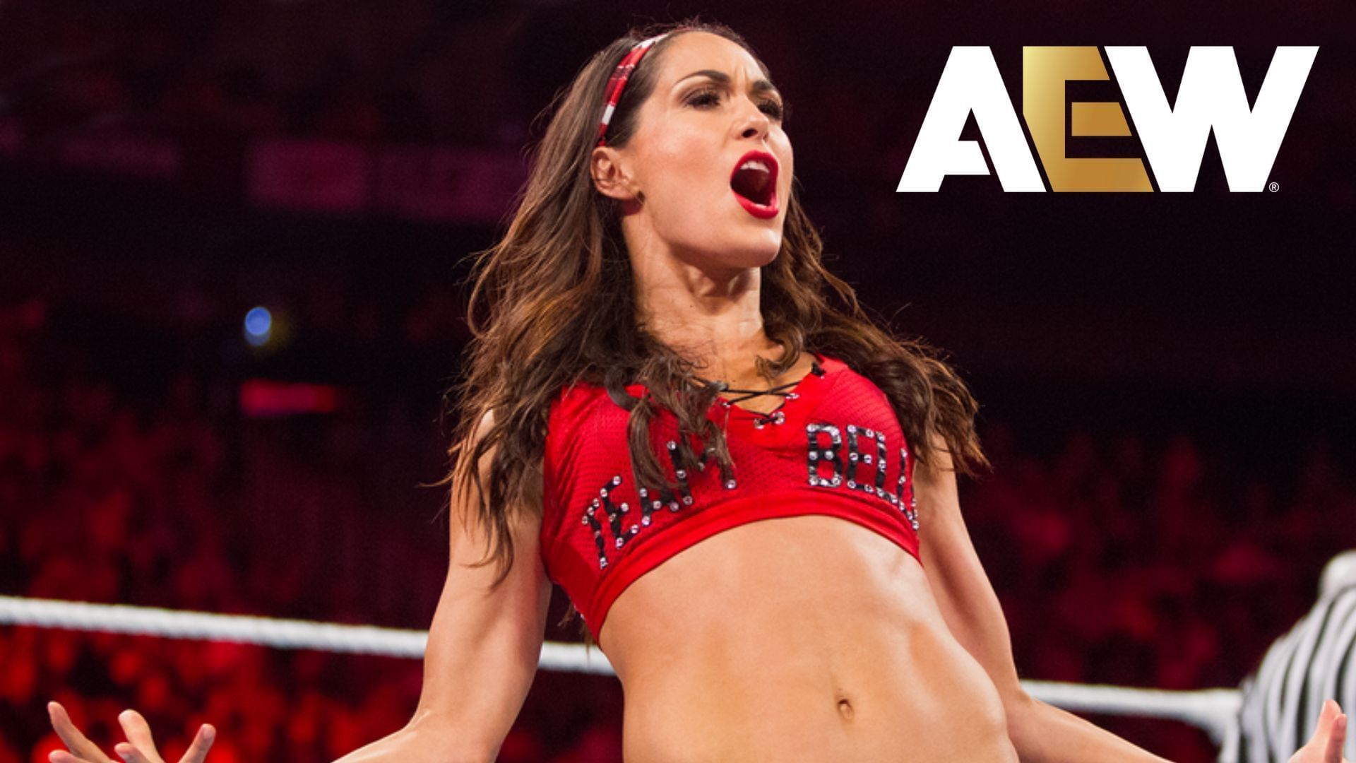 Brie Bella is a WWE Hall of Famer [photo: wwe.com]