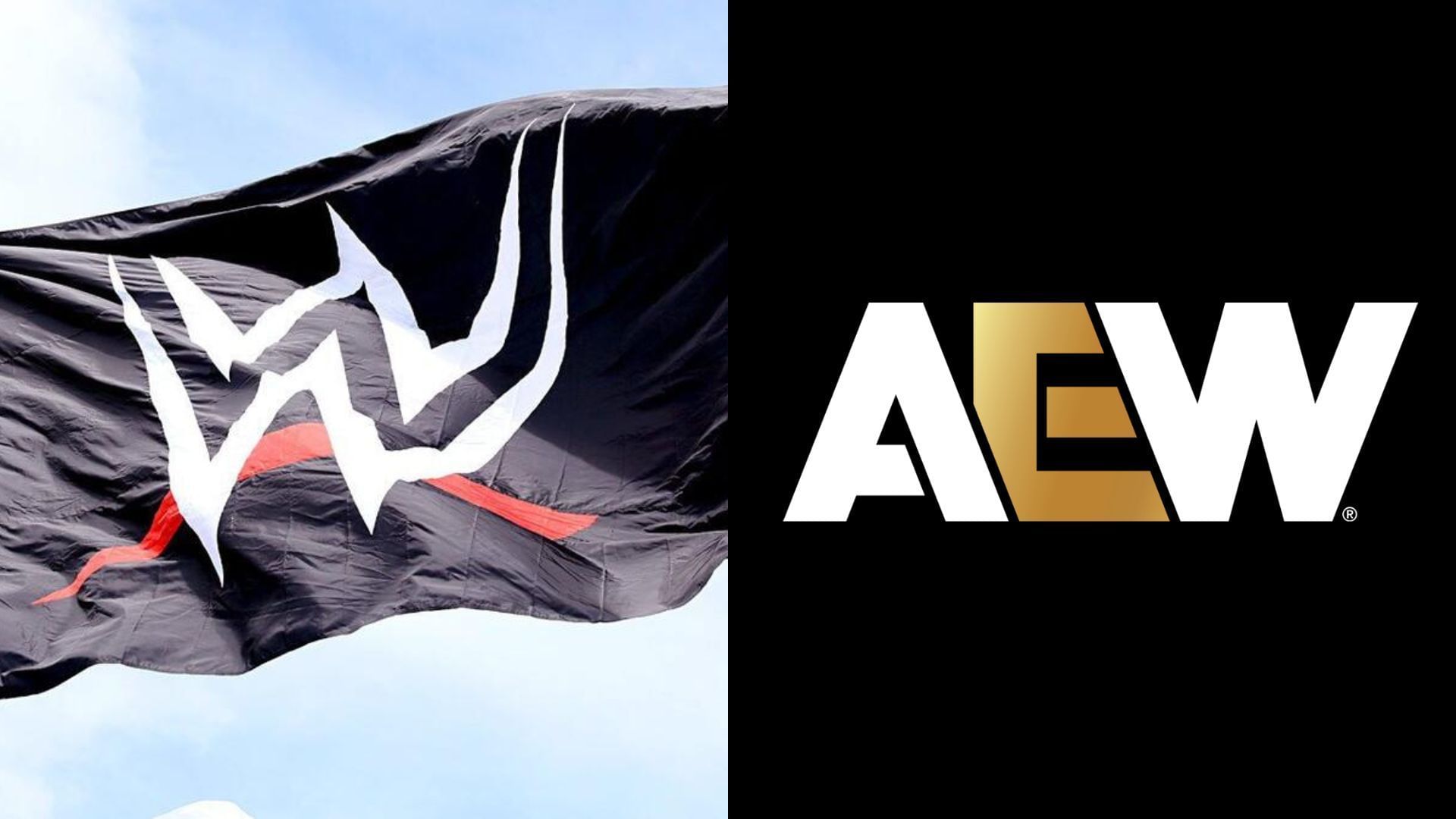 WWE and AEW are top players in the wrestling industry [photo: wwe.com and allelitewrestling.com