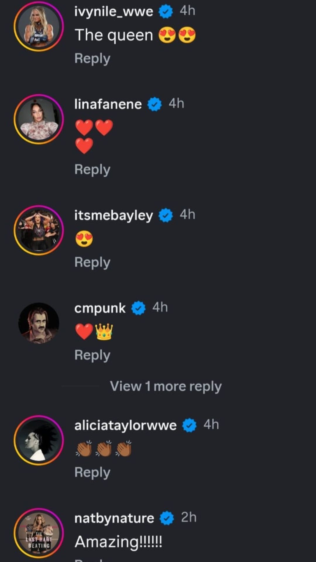 Screenshot of the comments section. [Via The Celtic Warrior&#039;s Instagram post]